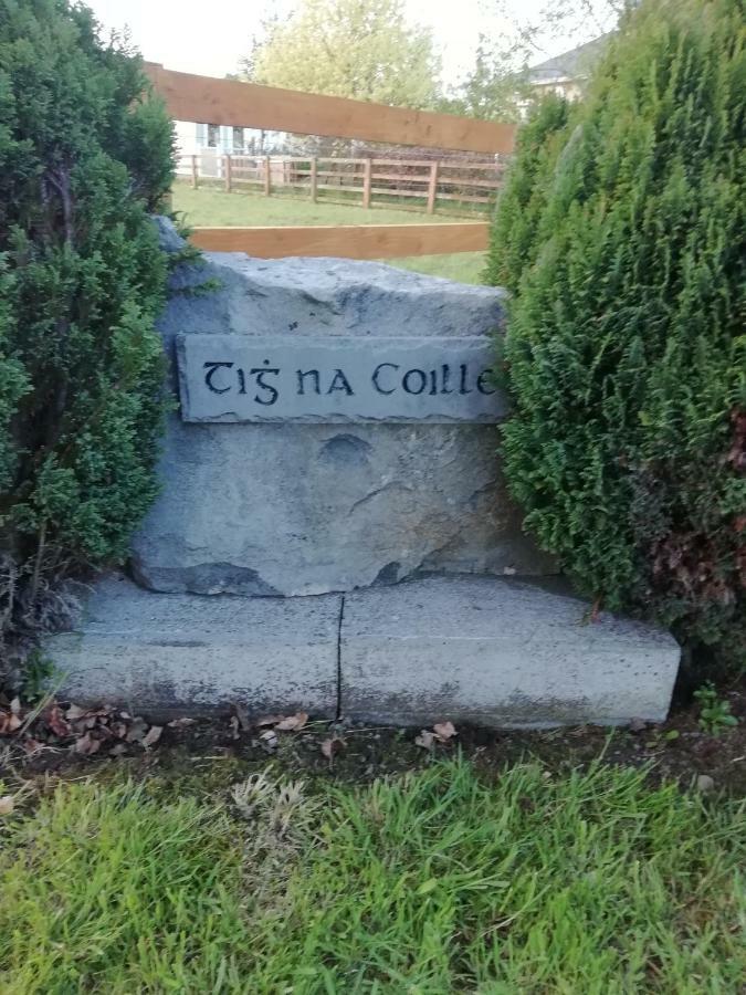 Tig Na Coille B&B Country House Kilkenny Exterior foto