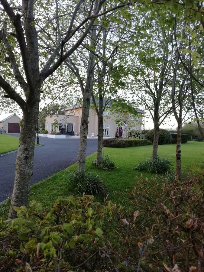 Tig Na Coille B&B Country House Kilkenny Exterior foto