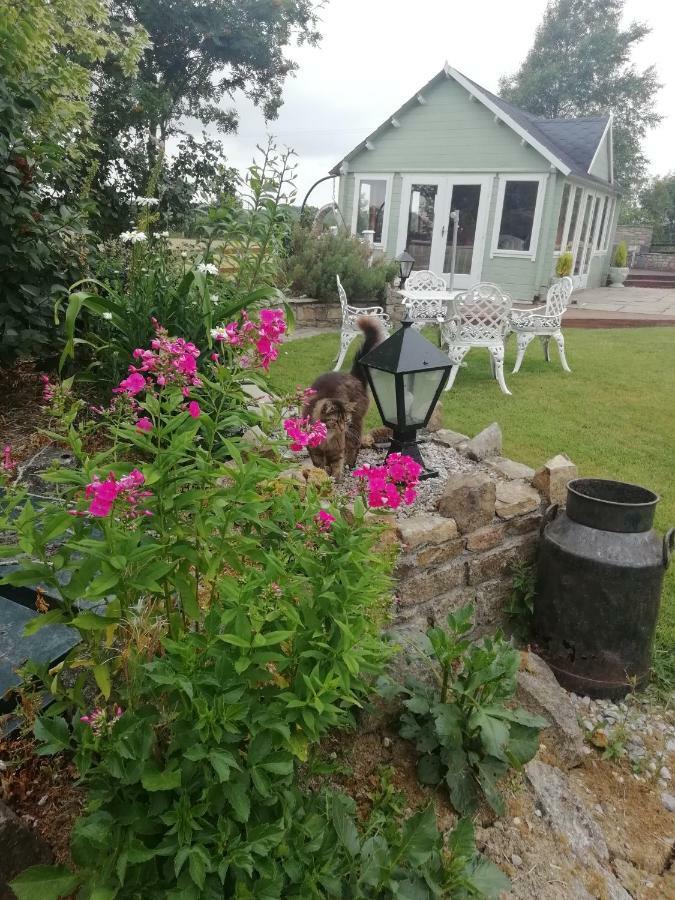 Tig Na Coille B&B Country House Kilkenny Exterior foto
