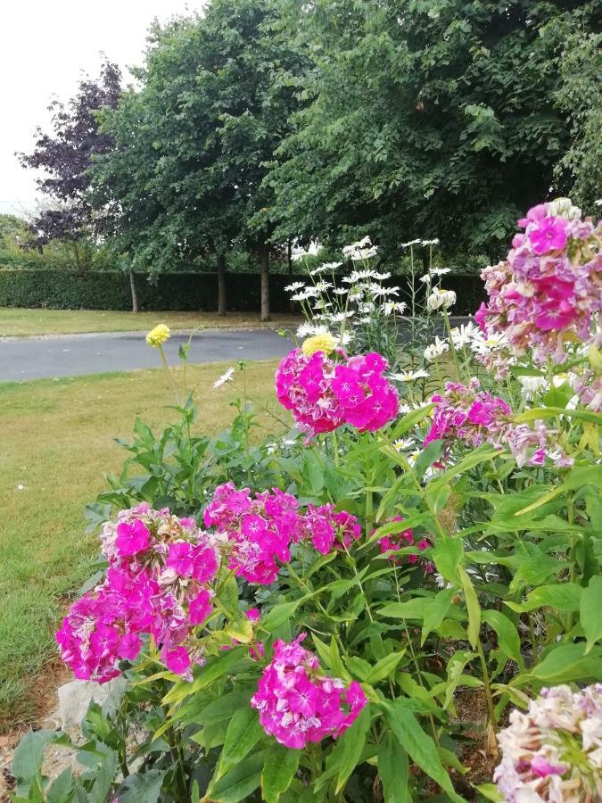 Tig Na Coille B&B Country House Kilkenny Exterior foto